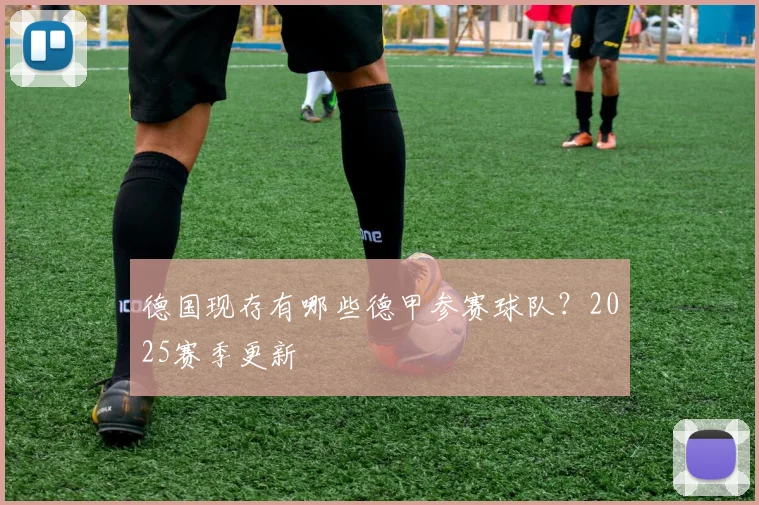 德国现存有哪些德甲参赛球队？2025赛季更新