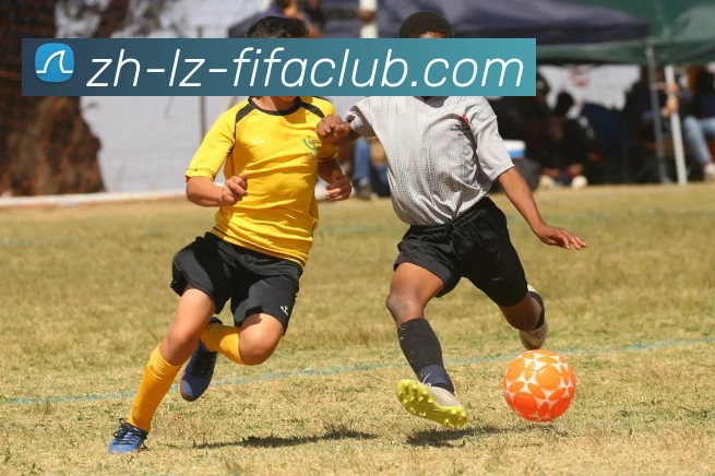 App Interface Preview