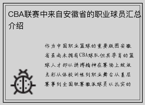 CBA联赛中来自安徽省的职业球员汇总介绍